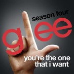 glee you're the one that i want cover